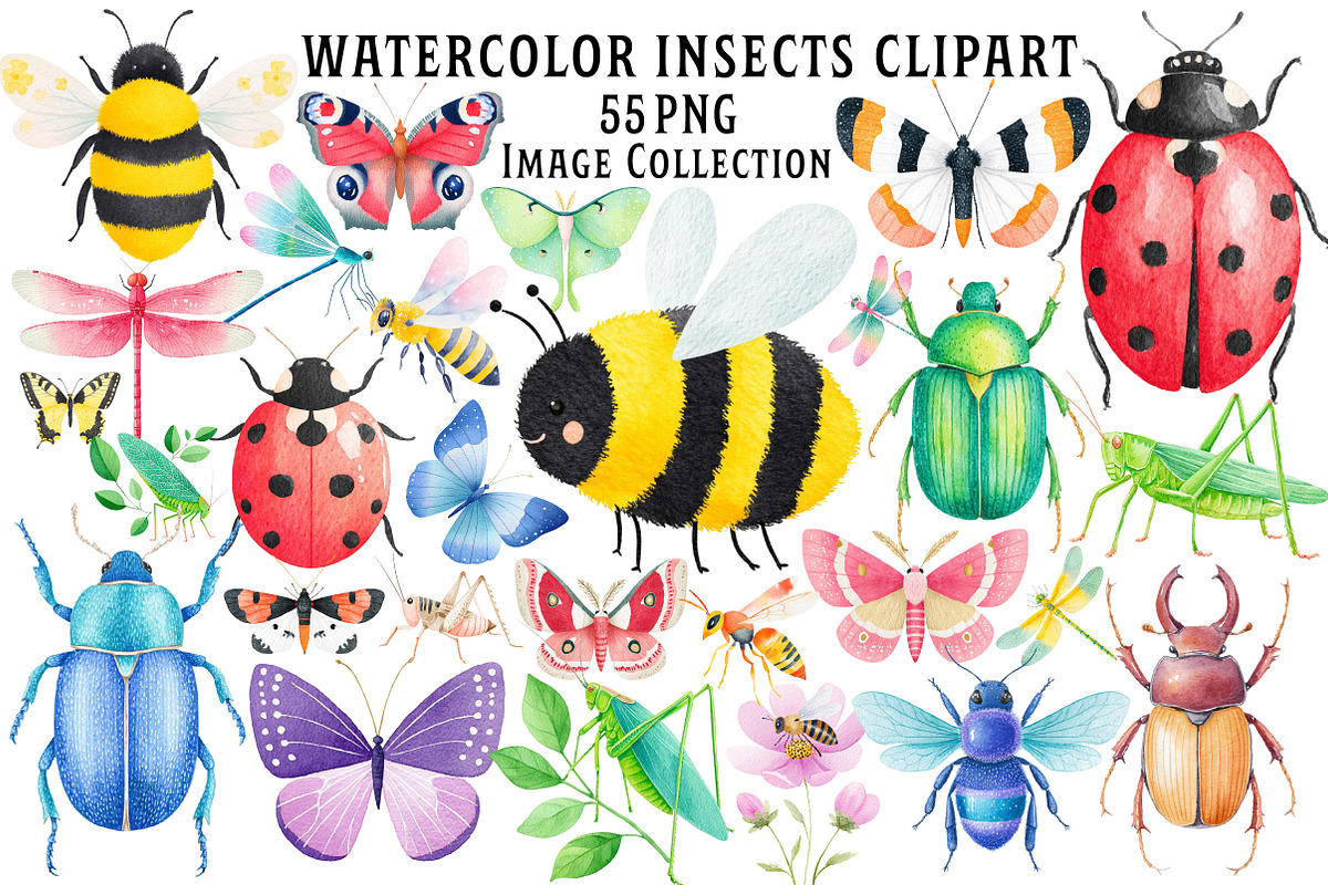 Insects Watercolor Clipart Png, an Illustration by Dream Creation (Photo 1 of 7)