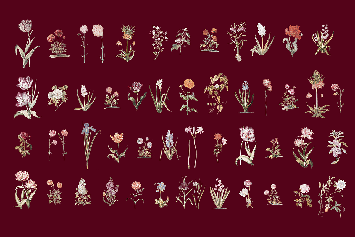 Hortus Vintage Flowers Cliparts, a Decorative Illustration by Lilithcollageart (Photo 7 of 12)
