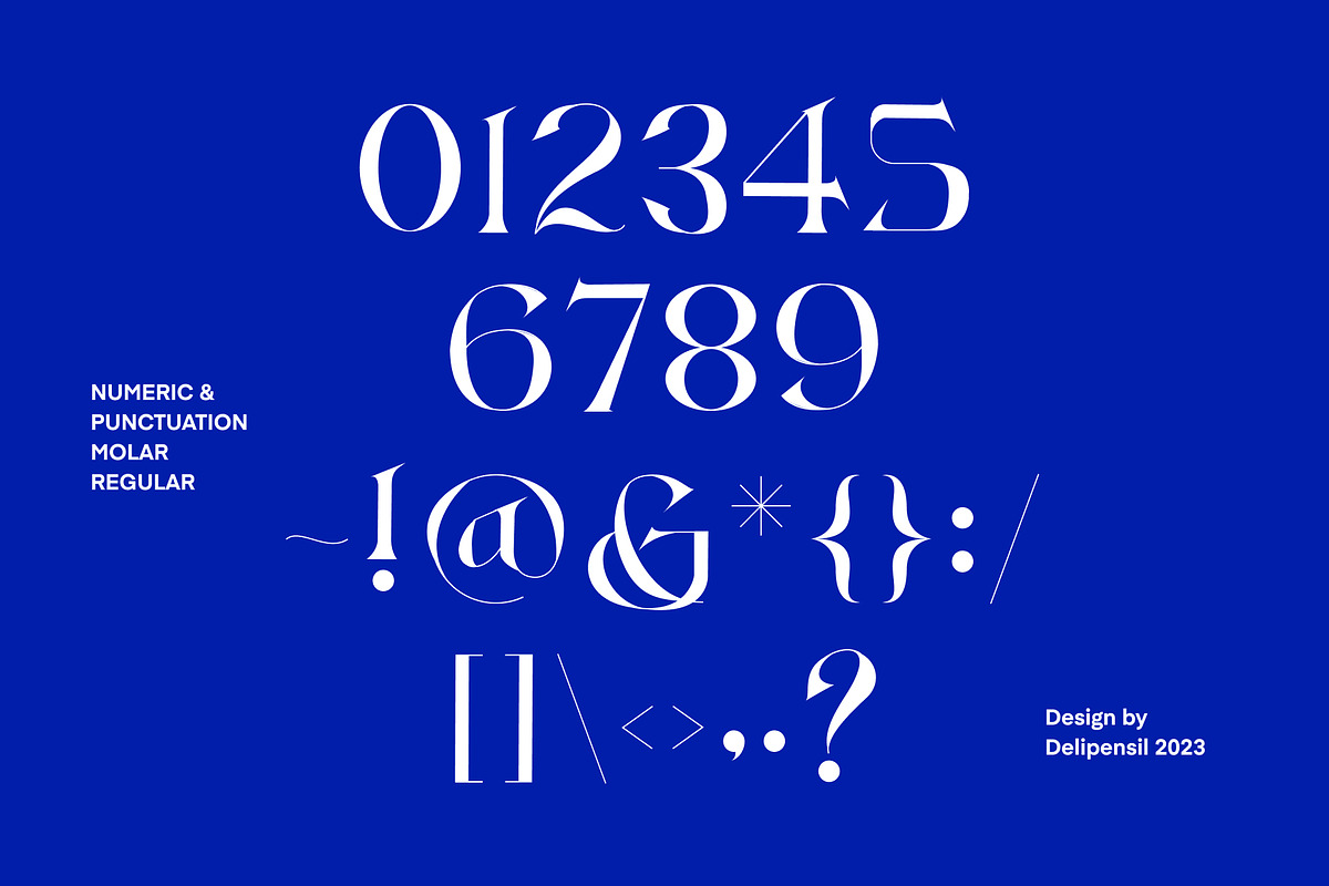 MOLAR - Modern Serif Typeface, a Serif Font by delipensil (Photo 9 of 9)
