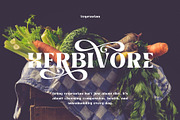 Brangkos A Wave Serif Typeface, a Serif Font by AuthenType (Thumbnail 3 of 13)