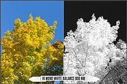 Infrared Ultraviolet Monochrome LUTs, a Plug-in Add-On by Raztrend (Thumbnail 18 of 30)
