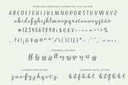 Belle Helene a Script & Symbols Font, a Script Font by Studio Indigo (Thumbnail 6 of 9)