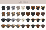 Cane Corso dog clip art, an Animal Illustration by pet design shop (Thumbnail 6 of 9)