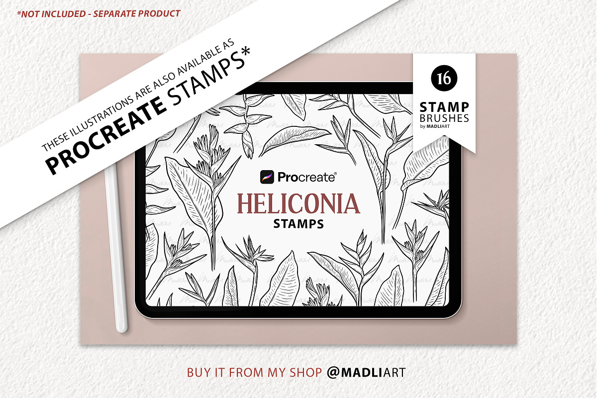 Heliconia Flower Vector Line Art, a Decorative Illustration by MadliArt (Photo 4 of 4)