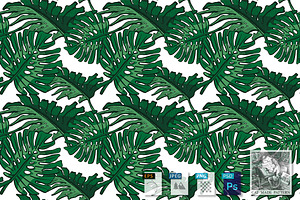 Pattern With Monstera Leaves