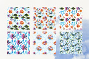 Marine Watercolor Clipart, an Animal Illustration by YarovaArt (Thumbnail 10 of 19)