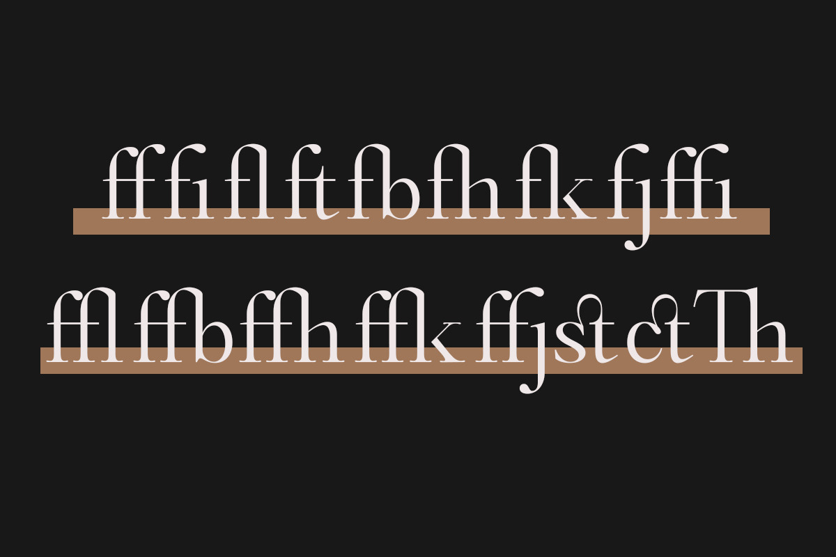 Castlon | 16 Fonts, a Serif Font by Skinny Type (Photo 10 of 10)