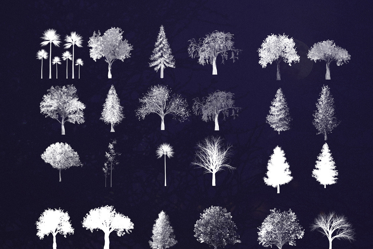 89 Procreate tree stamps brushes, a Brush Add-On by Endete & Mazak brushes (Photo 3 of 5)
