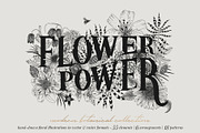 Vintage garden flower meadow lineart, an Illustration by Sophia J Caldwell (Thumbnail 17 of 17)