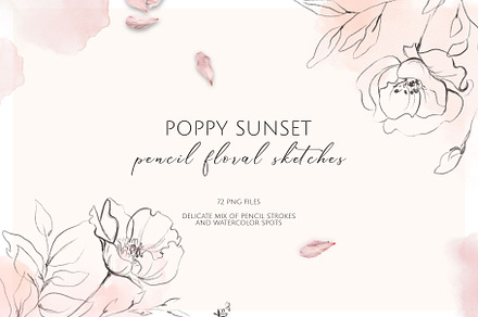 POPPY SUNSET pencil floral sketches, an Illustration by Yuliia Lashevska