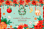 Whimsical Christmas Botanicals, a Seasonal Illustration by SunnJaneArt (Thumbnail 1 of 13)