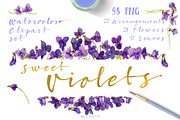 Sweet Violets, an Illustration by watercolorwild.graphics (Thumbnail 1 of 8)