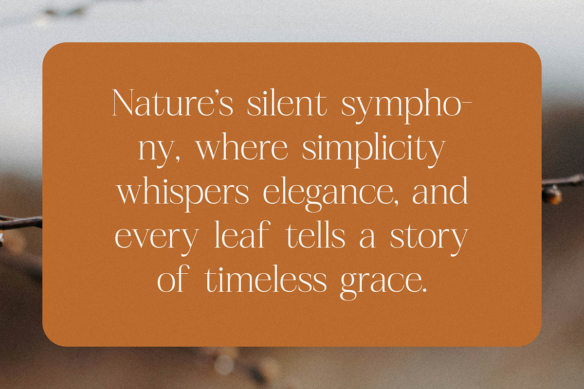 Realife Moment Modern Serif Font, a Serif Font by Letterena Studios (Photo 8 of 15)