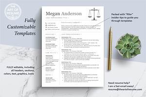 Legal Resume Lawyer, Law Clerk CV