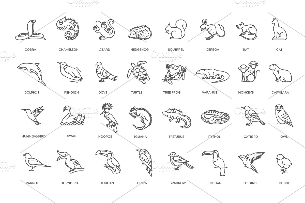 Animal icons. Vector icon set, an Animal Illustration by Tettygreen (Photo 3 of 3)