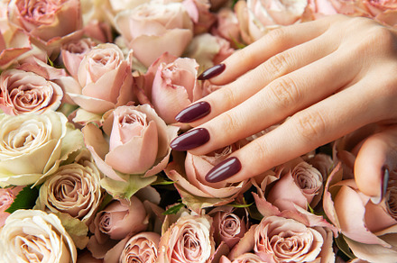 Elegant hand with dark maroon nails resting on a bed of soft pin, a Photo by Olena Rudo