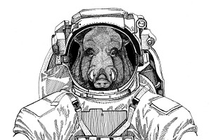 Aper, Boar, Hog, Hog, Wild Boar Wearing Space Suit Wild Animal Astronaut Spaceman Galaxy Exploration Hand Drawn Illustration For T-shirt