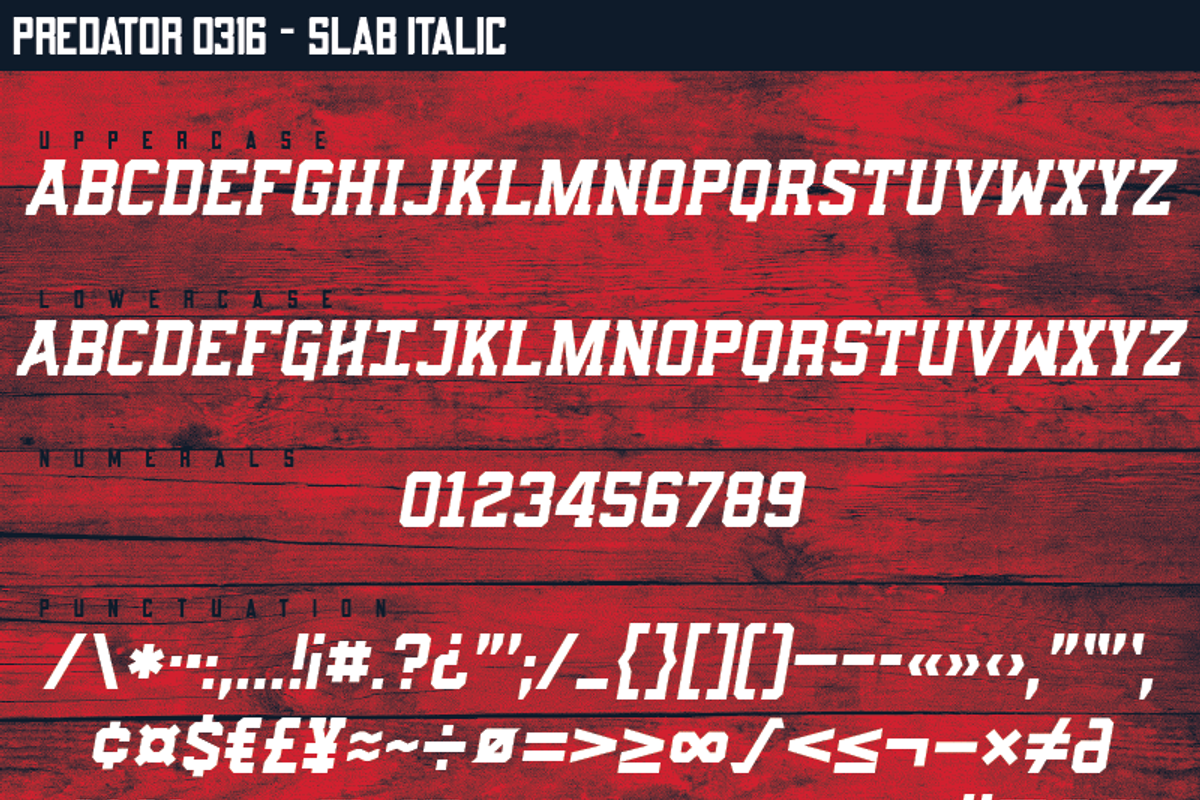 Predator 0316 - Full Family, a Sans Serif Font by Eargle Design, LLC (Photo 15 of 20)