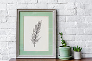 Feather. Sketch and patterns, an Illustration by Canatic (Thumbnail 7 of 7)