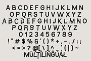 Naviren – Vintage Font, a Sans Serif Font by NDNL Studio (Thumbnail 8 of 9)