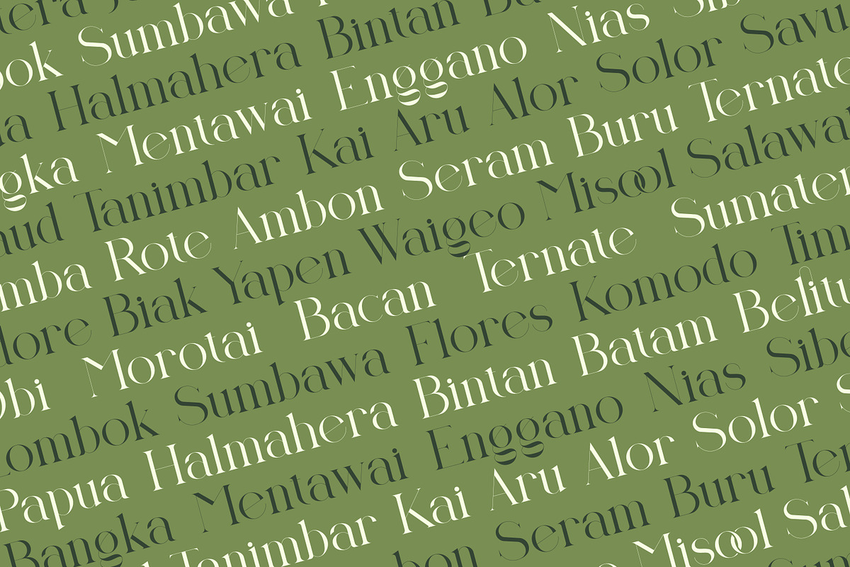 Huelicht | Modern Serif Font, a Serif Font by Kahade Studio (Photo 8 of 15)