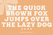 Demova | Display Typeface, a Serif Font by Brew & Butcher Studio (Thumbnail 8 of 9)