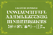 Born Spirit, a Serif Font by Dora Typefoundry (Thumbnail 11 of 11)