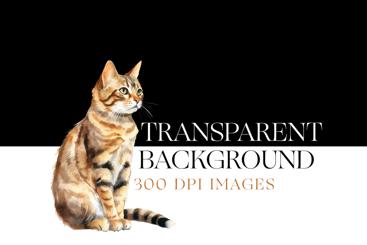 Purebred Cats Clipart, Cat Breeds, an Animal Illustration by BrushstrokeArtGB (Photo 7 of 9)
