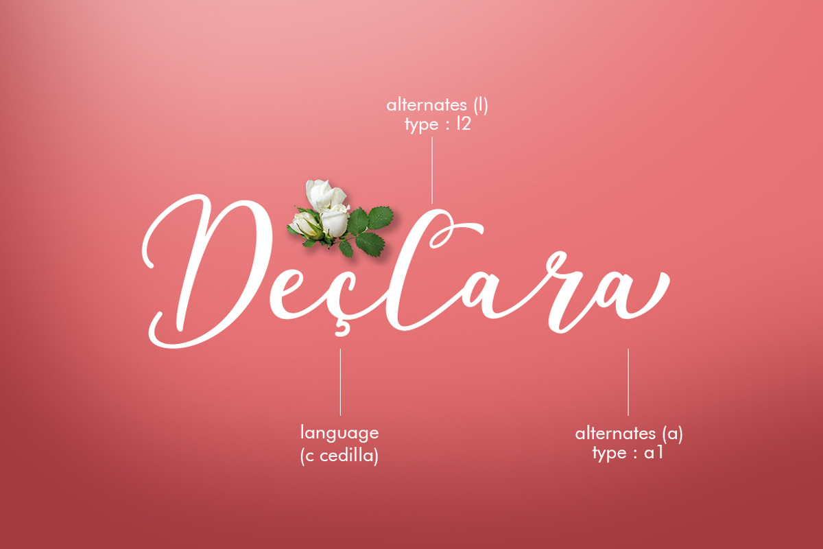30% off Declara Script preview 8