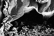 Frenzy Vol 1, a Texture Graphic by Jennifer Lauren Creative (Thumbnail 5 of 16)