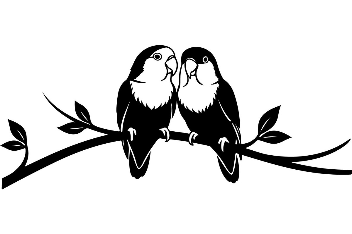 Birds on Branch Vector Collection, an Illustration by Designer_Momina (Photo 8 of 21)