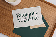 Elegant Luxury Serif - Regalian, a Serif Font by Shakira Studio (Thumbnail 7 of 10)