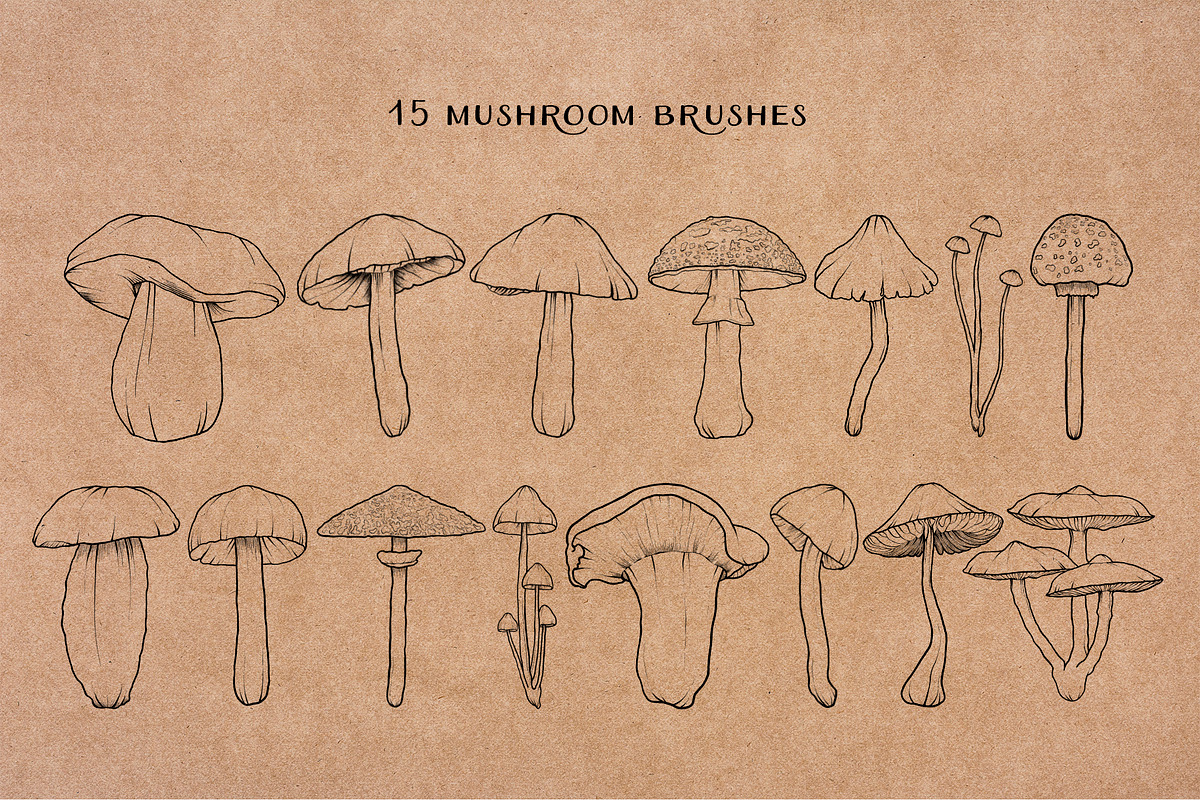 Mushroom Procreate Stamps: Line Art, a Brush Add-On by Little Nordic Atelier (Photo 3 of 4)
