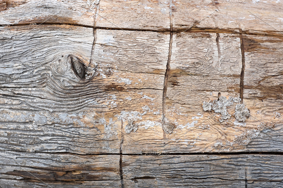 12 Wood Textures preview 5