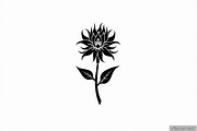 Elegant Floral Bundle, an Illustration by hafijul (Thumbnail 7 of 21)