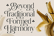 Dobagi – Elegant Modern Serif Font, a Serif Font by roomspace creative lab (Thumbnail 11 of 12)