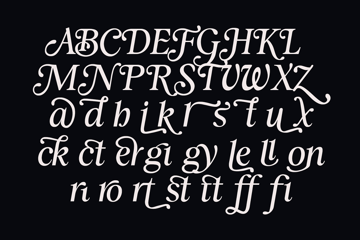 Zachariah Calligraphic Italic Serif, a Serif Font by Viswell (Photo 9 of 10)