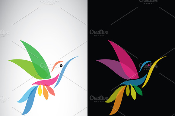 Hummingbird Design. Birds Icons.
