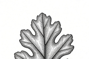 ETARA Autumn Ritual Kit, an Object Graphic by ETARA by Mea Hau (Thumbnail 61 of 64)