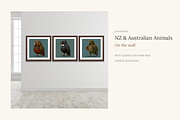 NZ & Australian Animals, Set 20, an Animal Illustration by LanternkinStudio (Thumbnail 2 of 12)