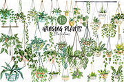Hanging Plants Illustrations Png, a Decorative Illustration by Paper Artsthetics (Thumbnail 1 of 6)