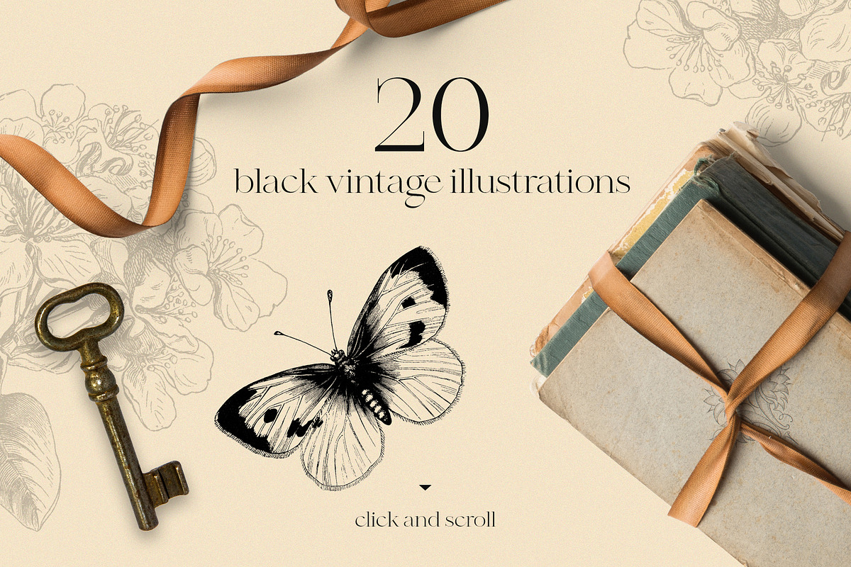 Vintage butterfly modern collection, an Animal Illustration by Beauty Drops (Photo 5 of 8)