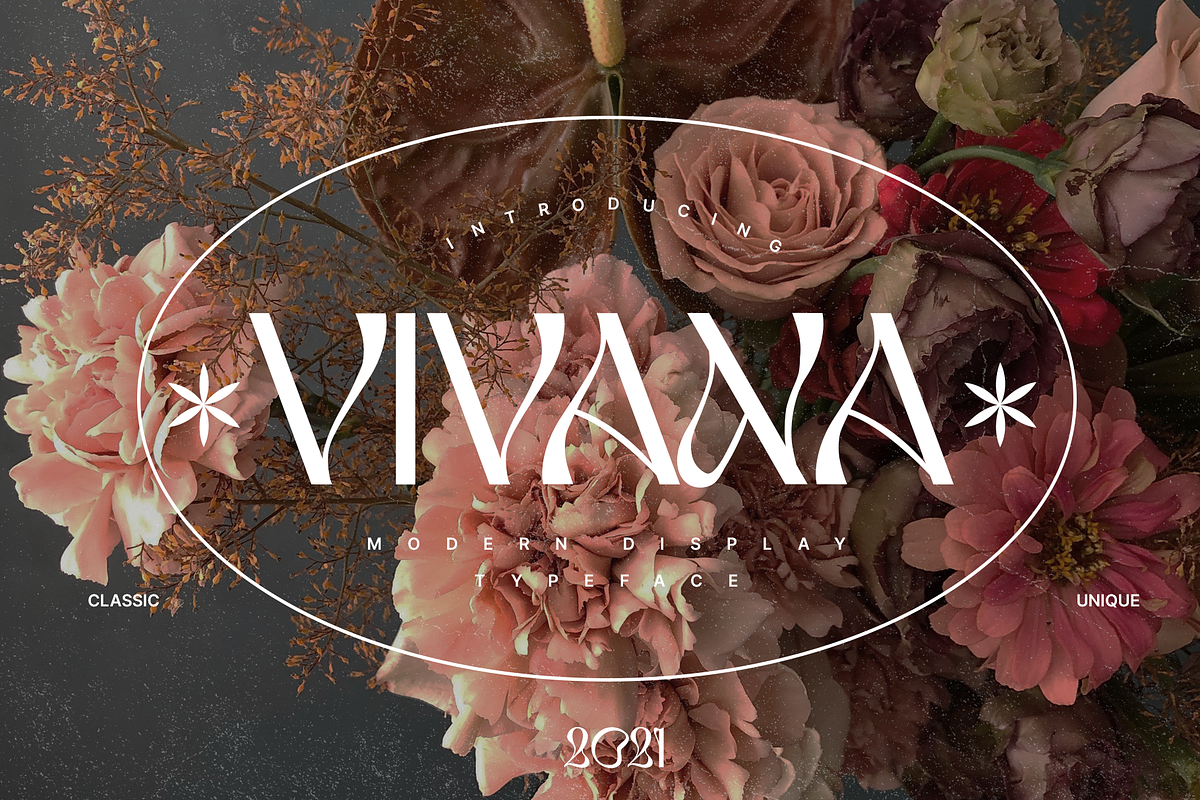 VIVANA | Modern Display, a Sans Serif Font by Alif Devan R. (Photo 1 of 12)