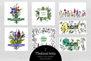 Watercolor medicinal herbs, an Illustration by Tatiana Davidova (Thumbnail 5 of 5)