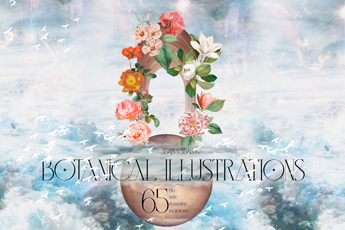 Women's Universe Collection, an Object Graphic by Natali Batu (Photo 15 of 30)
