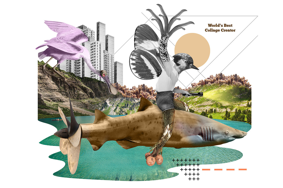 World's Best Collage Creator, an Animal Illustration by SNIPESCIENTIST (Photo 11 of 48)