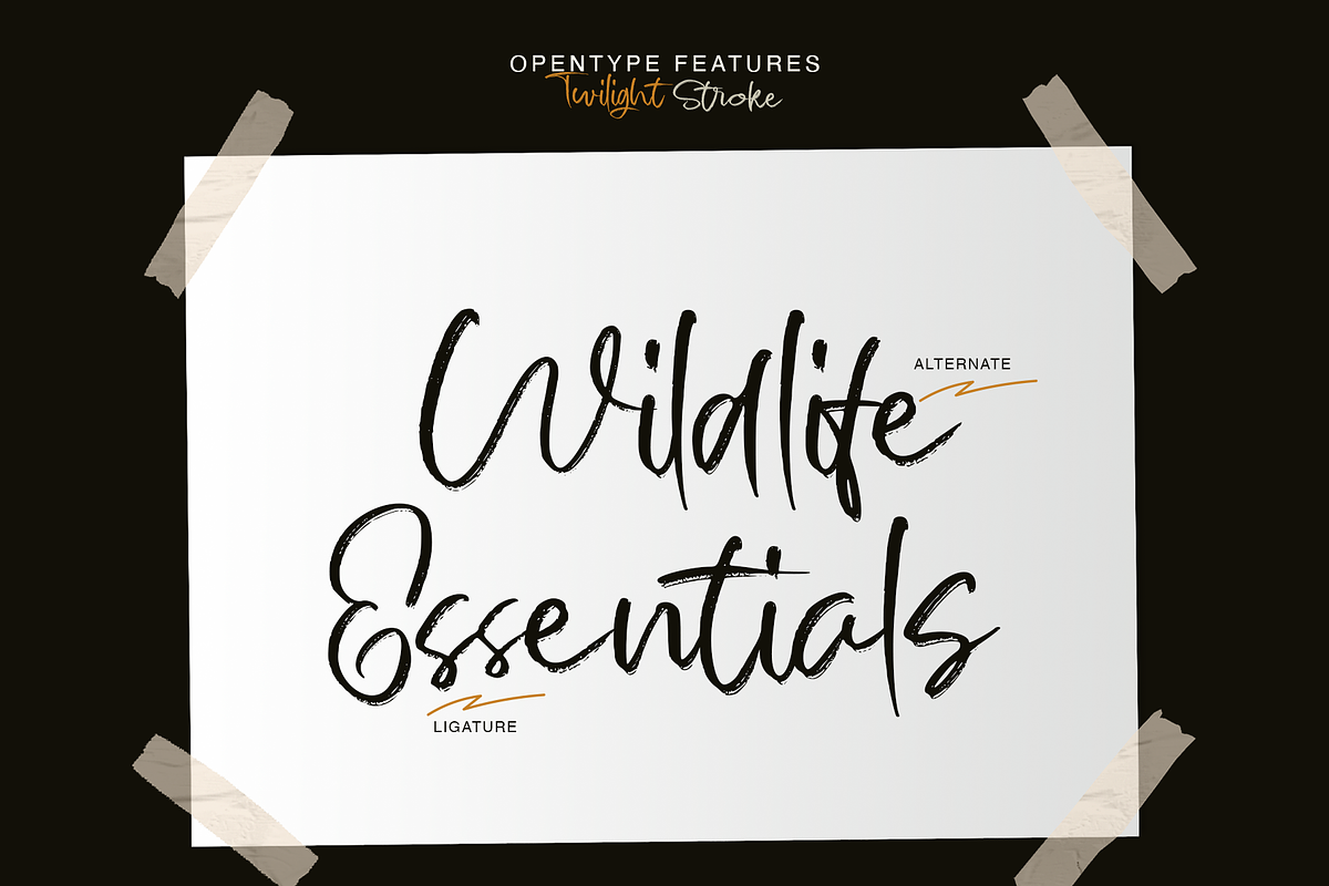 Twilight stroke | Brush Script Font, a Script Font by Jolicia Type (Photo 8 of 10)