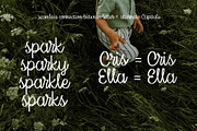 Serendipity Script Calligraphy Font, a Script Font by Paridisce Creative (Thumbnail 7 of 8)