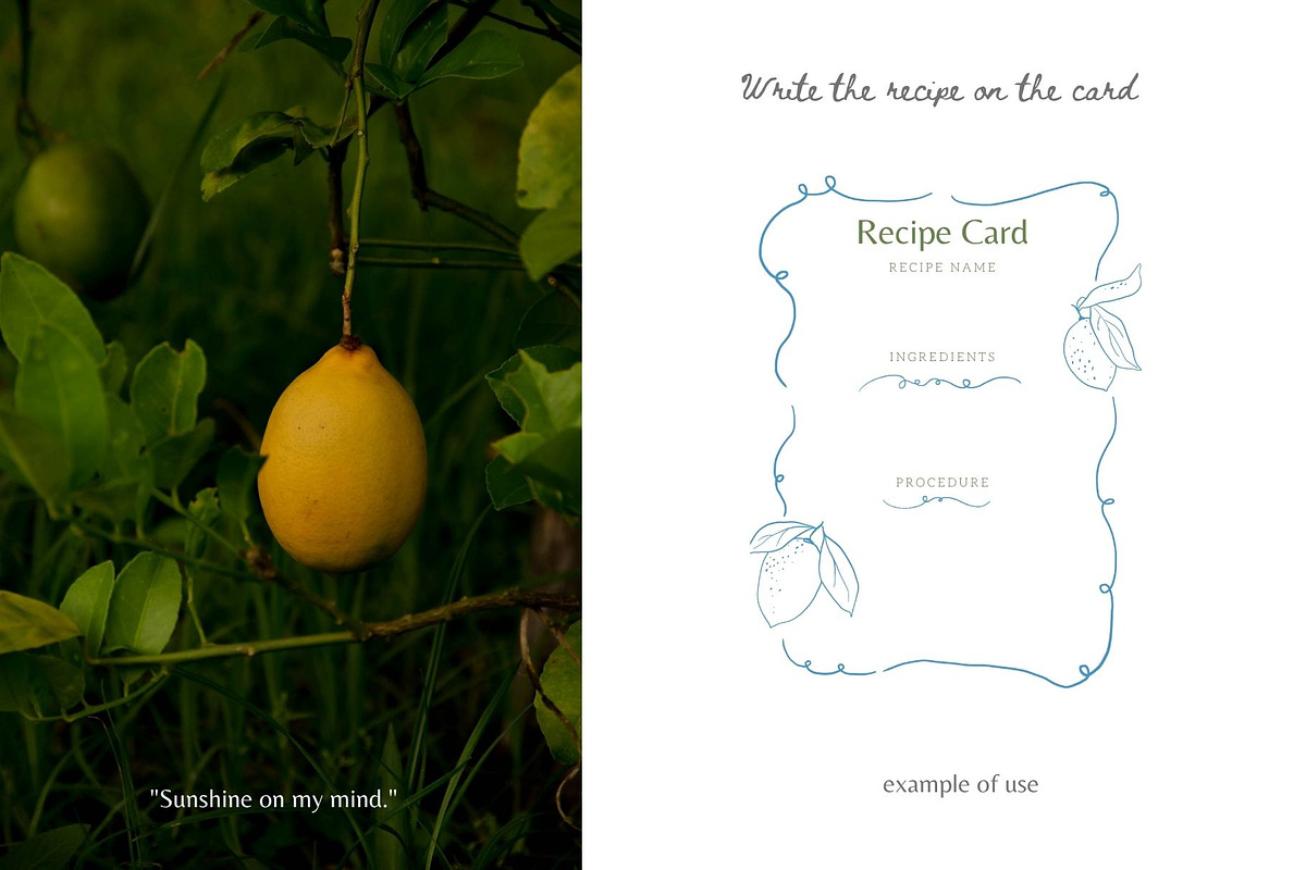 Lemonade. Whimsical illustrations, an Illustration by PaperJamLab (Photo 4 of 10)