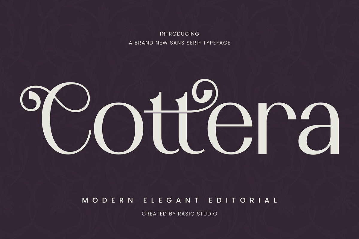 Cottera Modern Editorial Sans Font, a Sans Serif Font by Rasio Studio (Photo 1 of 10)